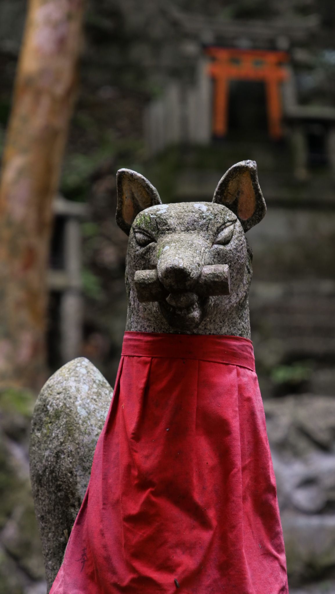 Un zorro de piedra con babero rojo y una llave en la boca, de los que guardan los santuarios de Inari